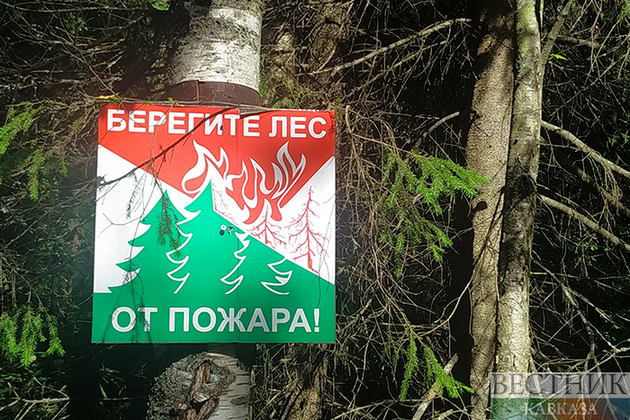 Fire season introduced in Kuban forests 