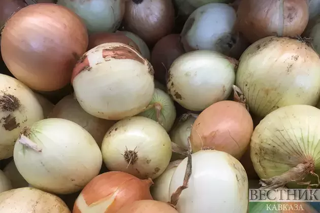 Kazakhstan risks losing last year&#039;s onion harvest