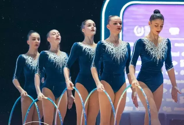 the Azerbaijani Gymnastics Federation