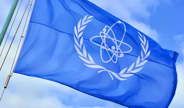 the IAEA website