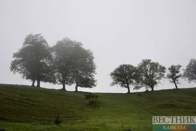 North Ossetia becomes greener before Victory Day