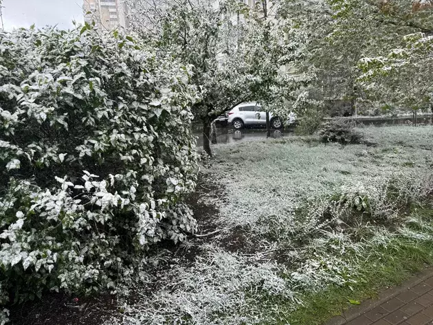 May snowfall hits Moscow 