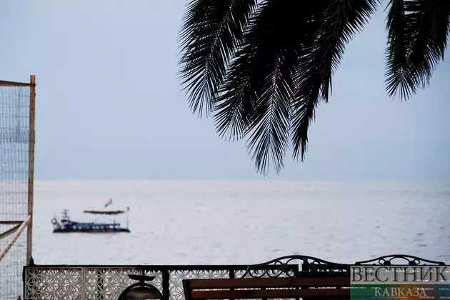 Dozens of palm trees planted in Ochamchira