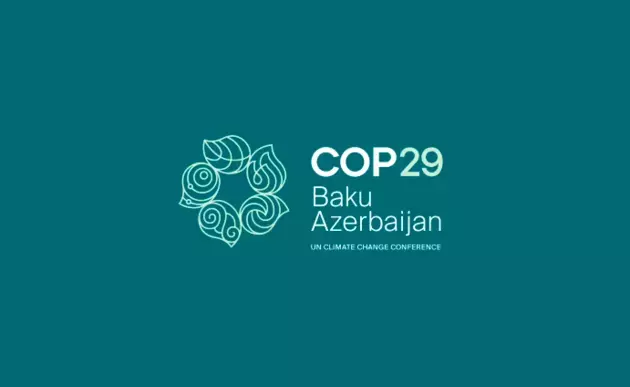 Azerbaijan to issue &quot;special COP29 visas&quot;