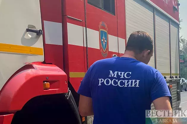 Dachas burned down in Stavropol amid heatwave