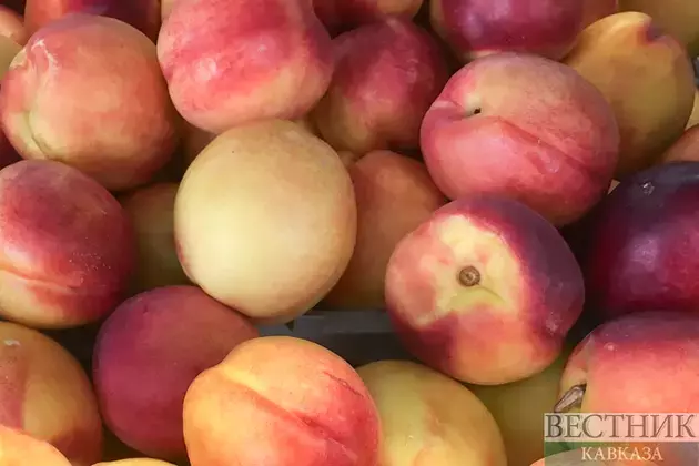 Georgia makes $26 mln on peaches, nectarines