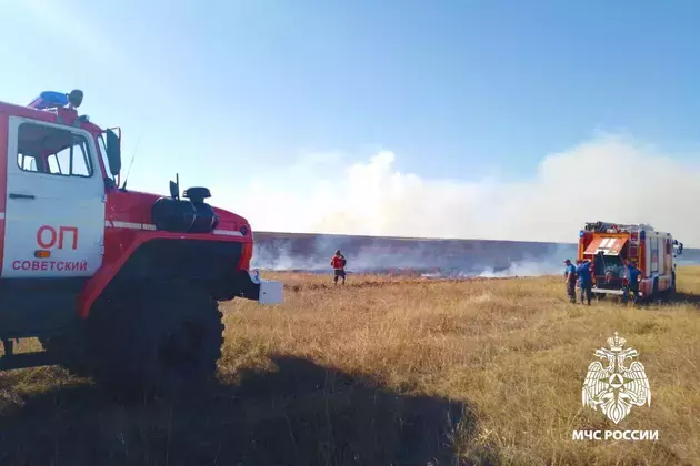 Dry grass burning in Crimea