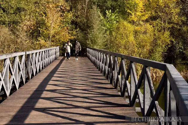 Golden autumn in Moscow 2024: How city and nature welcomed October