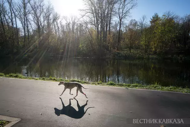 Golden autumn in Moscow 2024: How city and nature welcomed October