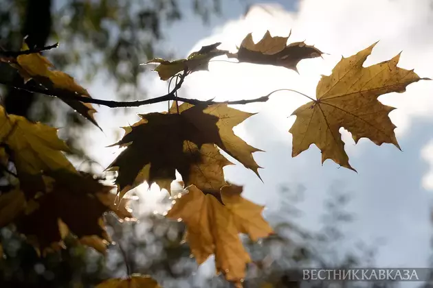 Golden autumn in Moscow 2024: How city and nature welcomed October