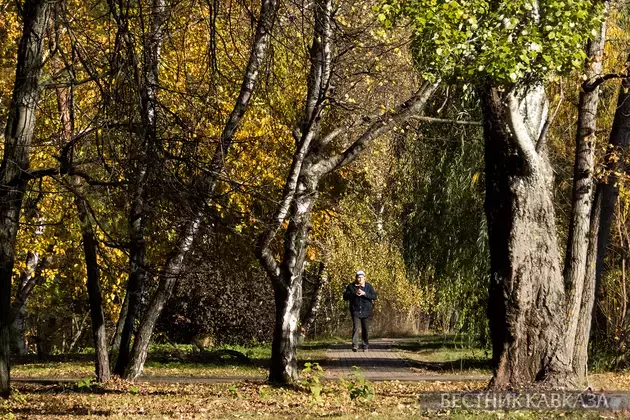 Golden autumn in Moscow 2024: How city and nature welcomed October