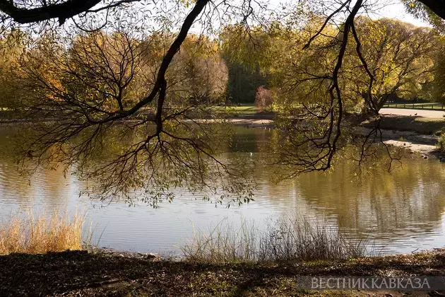 Golden autumn in Moscow 2024: How city and nature welcomed October