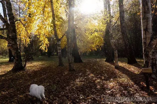 Golden autumn in Moscow 2024: How city and nature welcomed October