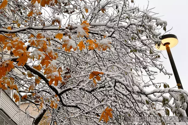 Almost record snow covers Moscow