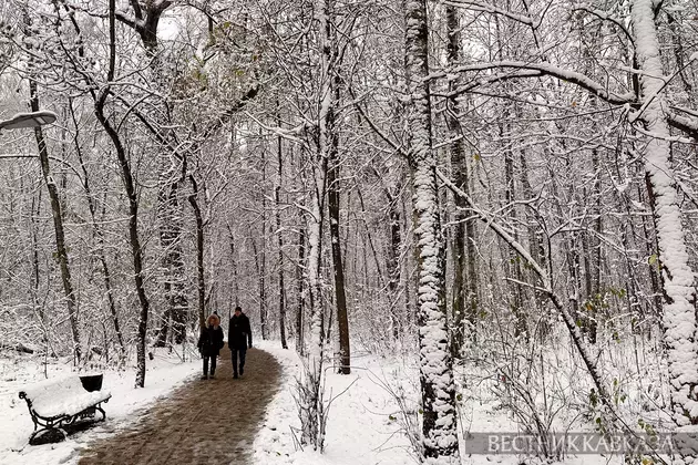 Almost record snow covers Moscow