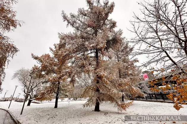 Almost record snow covers Moscow