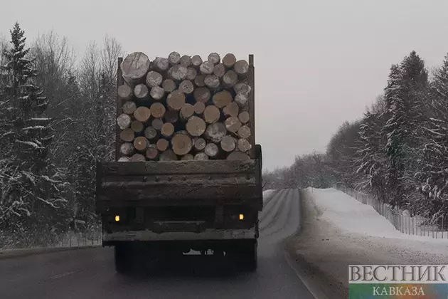 Road leading to Armenian border reopened after snowfall in Georgia