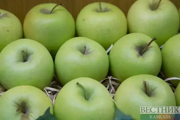 Apples from North Caucasus completely replaced Polish fruits