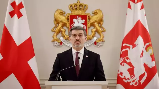 the Georgian president's website
