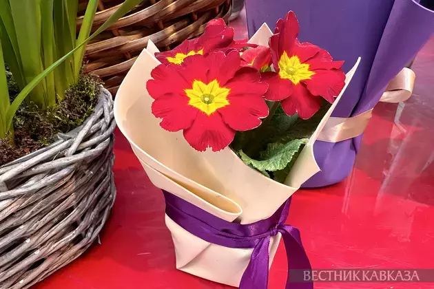 Spring flowers in Moscow: how the capital is preparing for March 8