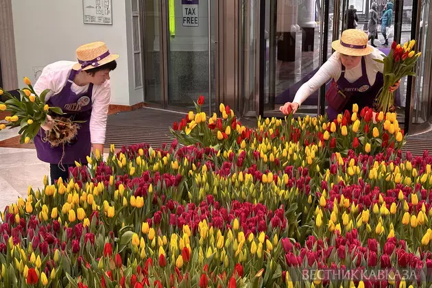 Spring flowers in Moscow: how the capital is preparing for March 8