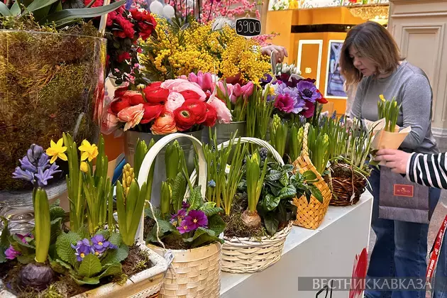 Spring flowers in Moscow: how the capital is preparing for March 8