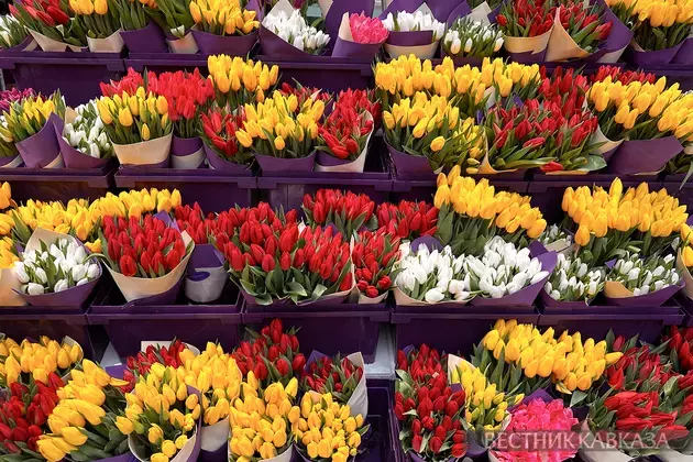 Spring flowers in Moscow: how the capital is preparing for March 8