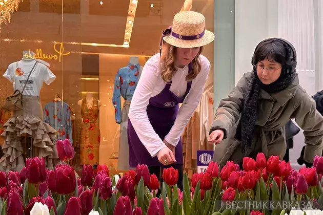 Spring flowers in Moscow: how the capital is preparing for March 8