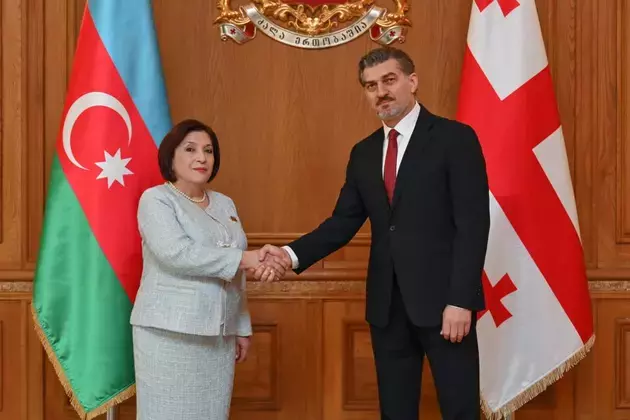 the Azerbaijani parliament's website