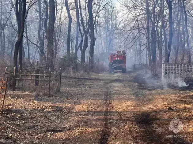 Cemetery on fire in Vladikavkaz