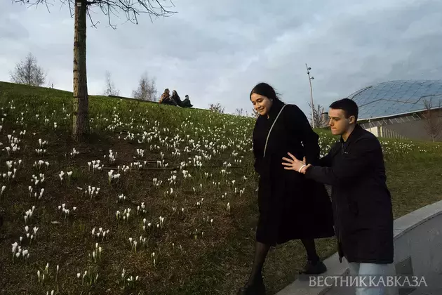 Primroses in Moscow 2025: how crocuses, chionodoxas and coltsfoot bloomed