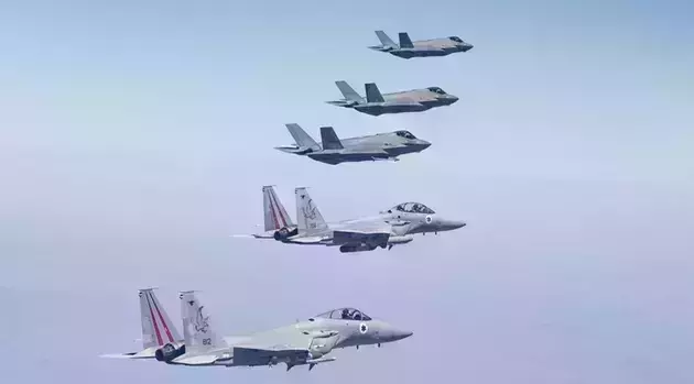 the IDF