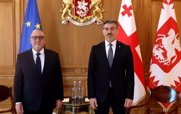 President of Georgia meets with Turkish Ambassador