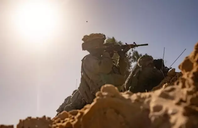 the IDF
