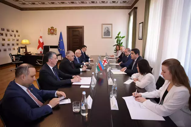 Azerbaijan, Georgia discuss inter-parliamentary cooperation