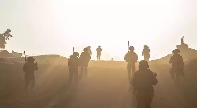 the IDF