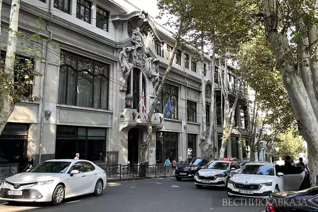 Georgian Foreign Minister: Georgia has right to protect state interests