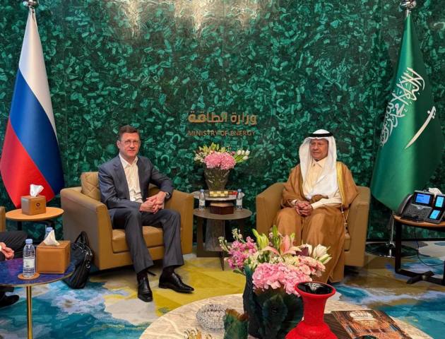 Novak and Saudi Energy Minister discuss Moscow-Riyadh cooperation