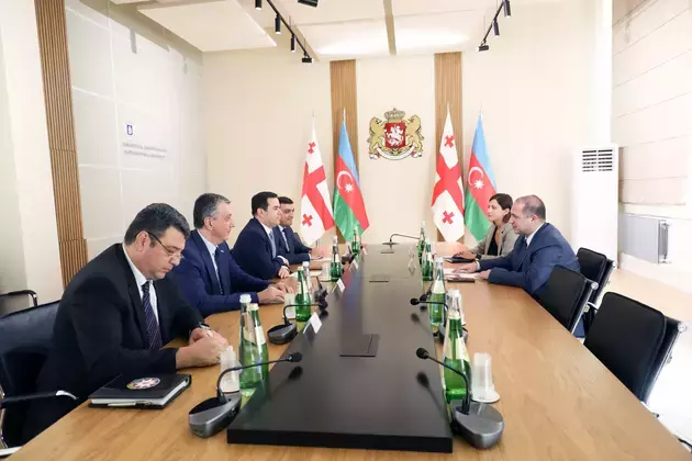 Baku and Tbilisi discuss cooperation in youth policy