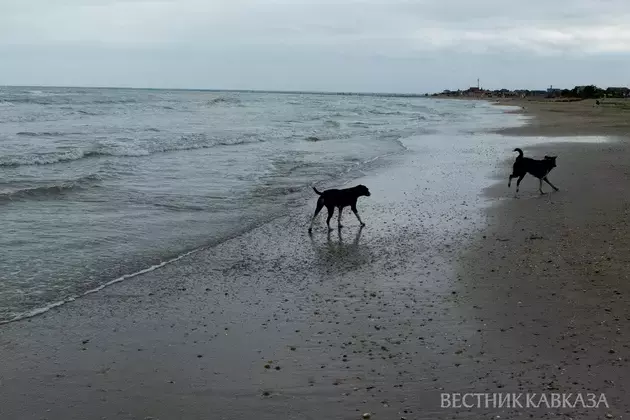 Tremors recorded in Caspian Sea