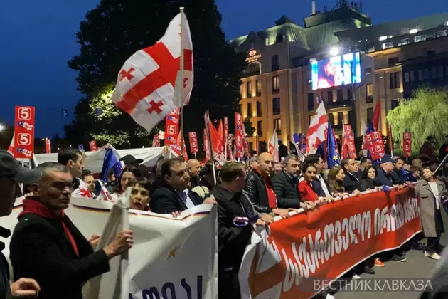 16 opposition activists detained at Tbilisi protest rally