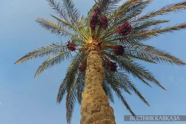 Azur Air to connect Novosibirsk and Sharm el-Sheikh