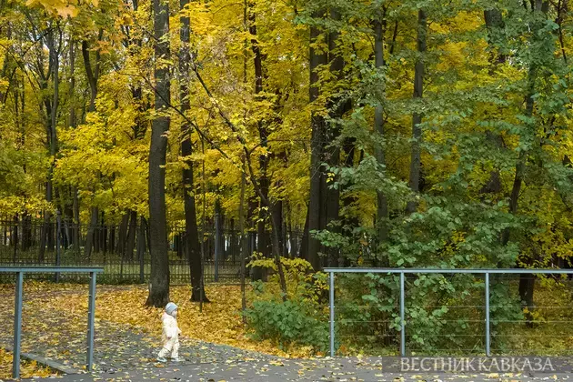 Moscow's Golden Autumn 2025 in photos