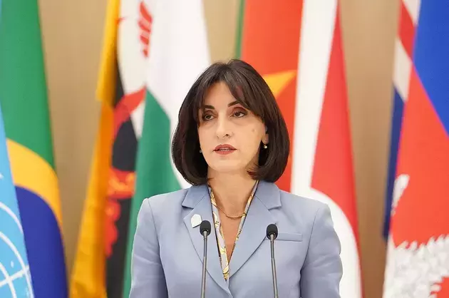 Georgia no longer interested in EuroNest, Foreign Ministry reports