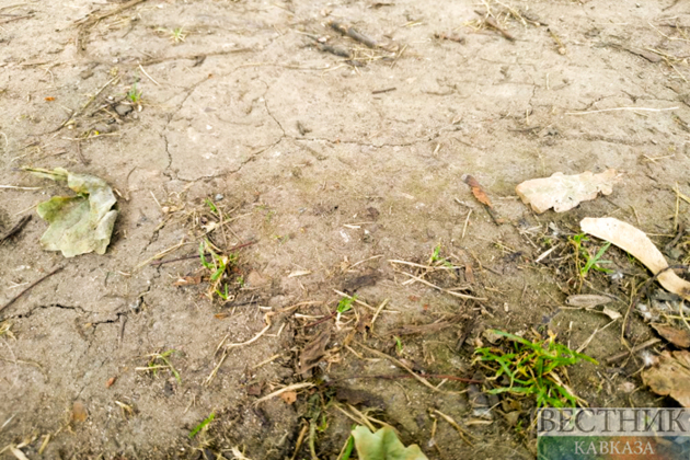 Drinking water in Tehran could run dry in two weeks
