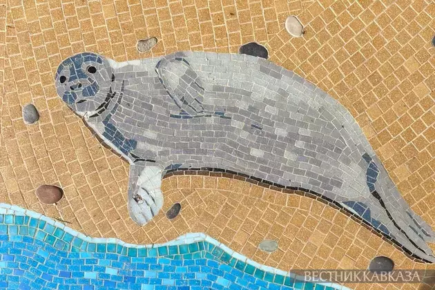 Numerous dead seals found in Kazakhstan's sector of Caspian Sea