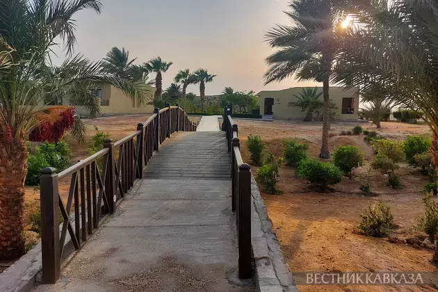 Russian authorities see prospects for expanding air travel with Egypt