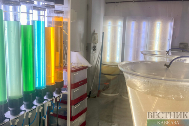 Scientists uncover details about ancient man in 'shorts' found in Iran's salt mines