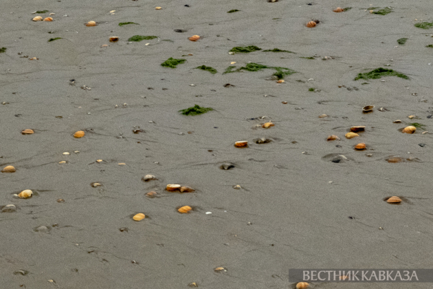 Turkey’s Marmara Sea recedes from shore