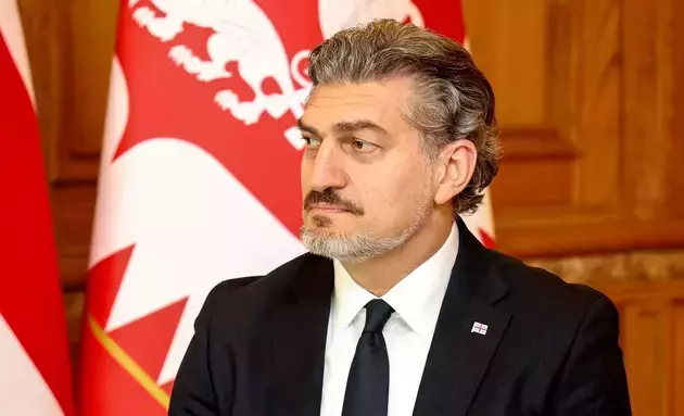 Georgia still strives to join EU - Mikheil Kavelashvili